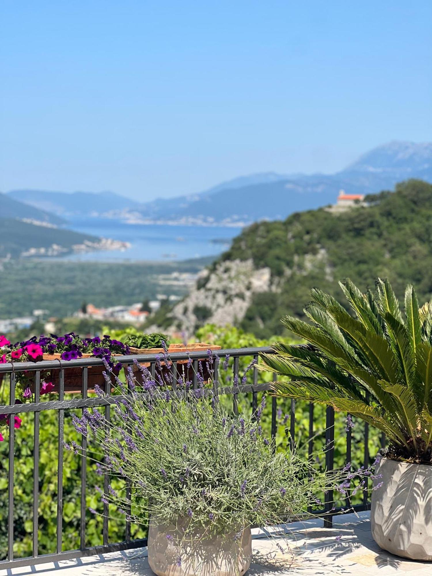 Villa Nikoleta Kotor Exteriör bild